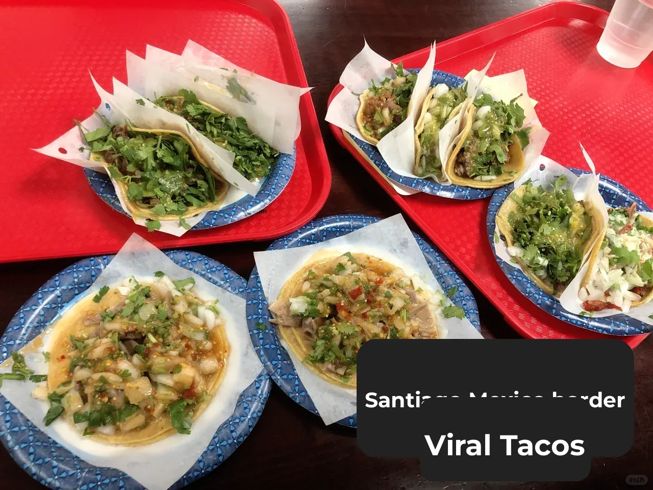 San Diego SD Food Exploration: The Hottest Mexican Tacos Near the US-Mexico Border