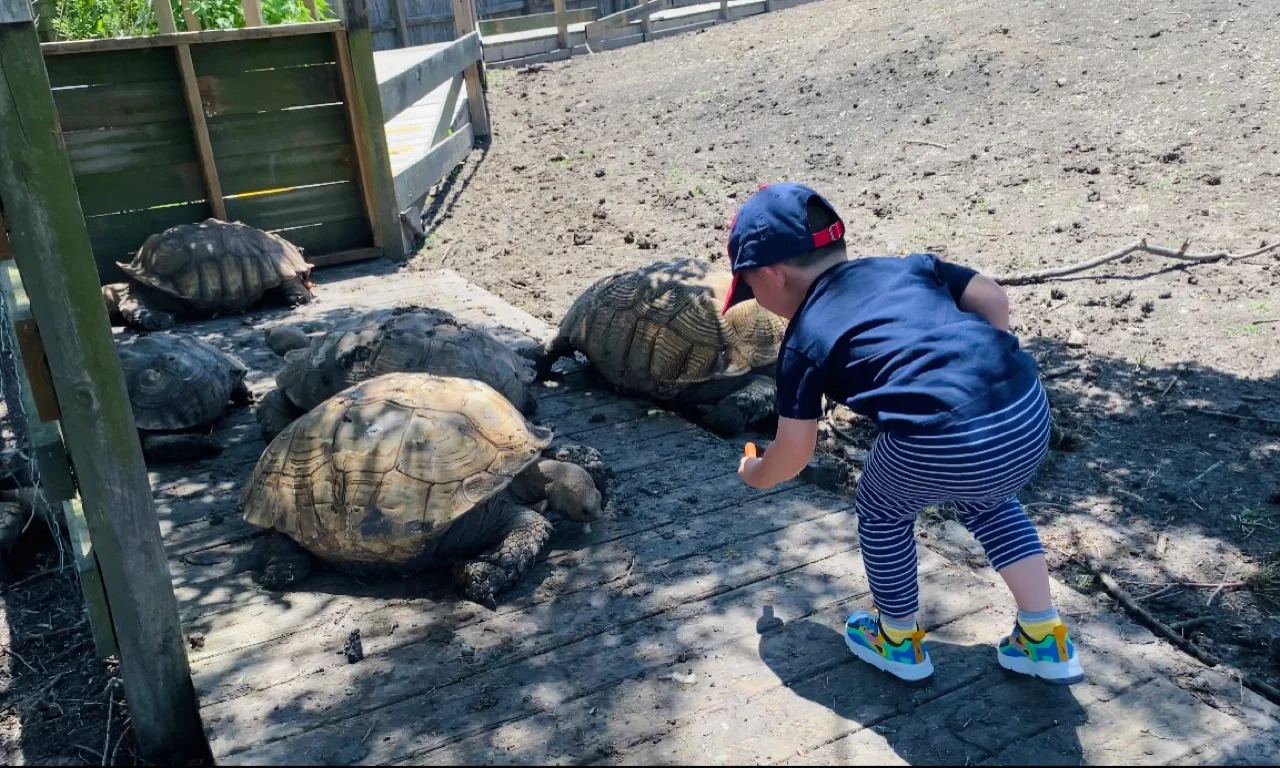 Houston｜Alligator Park