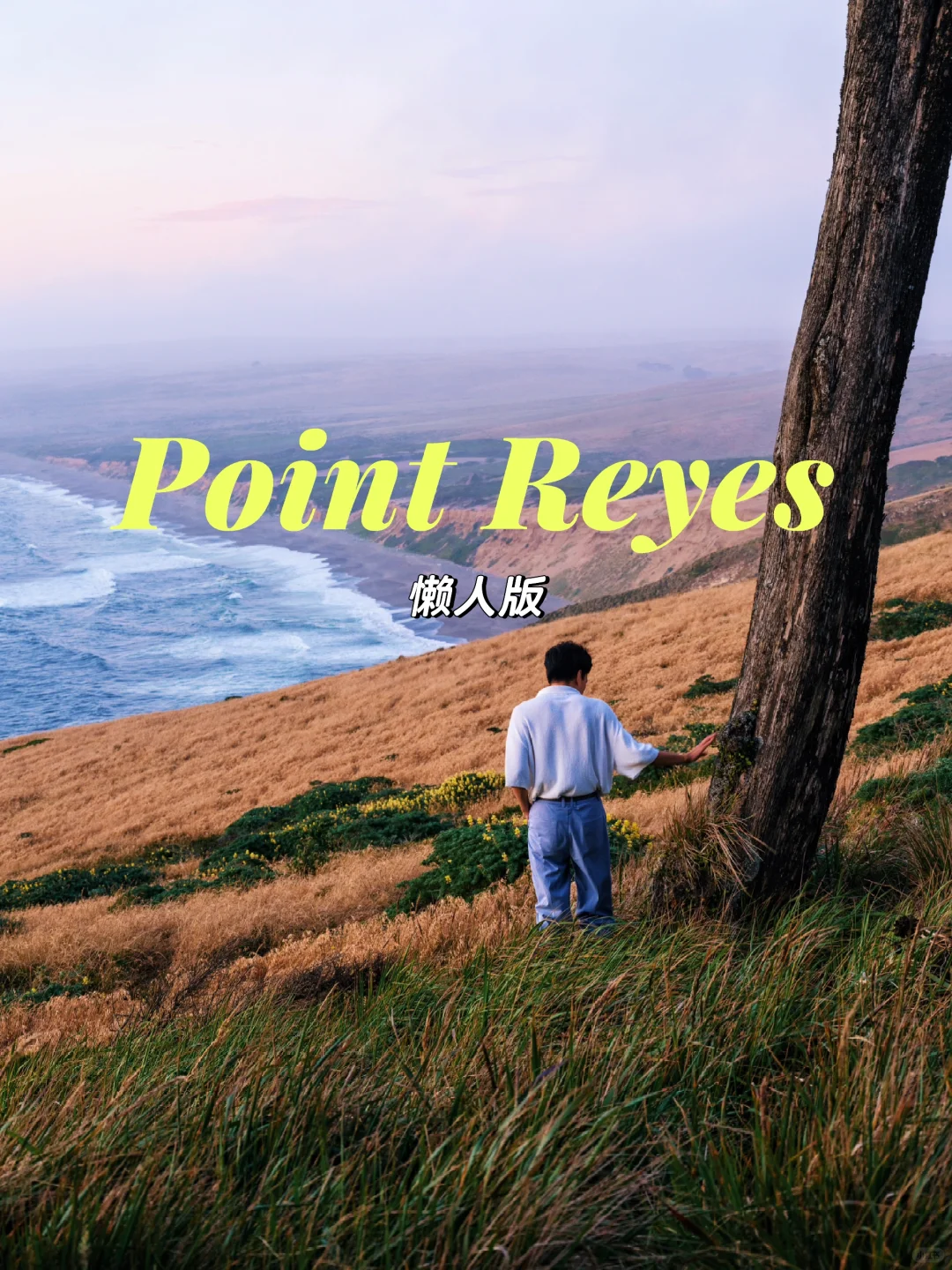 Point Reyes No-Brainer Quick Guide