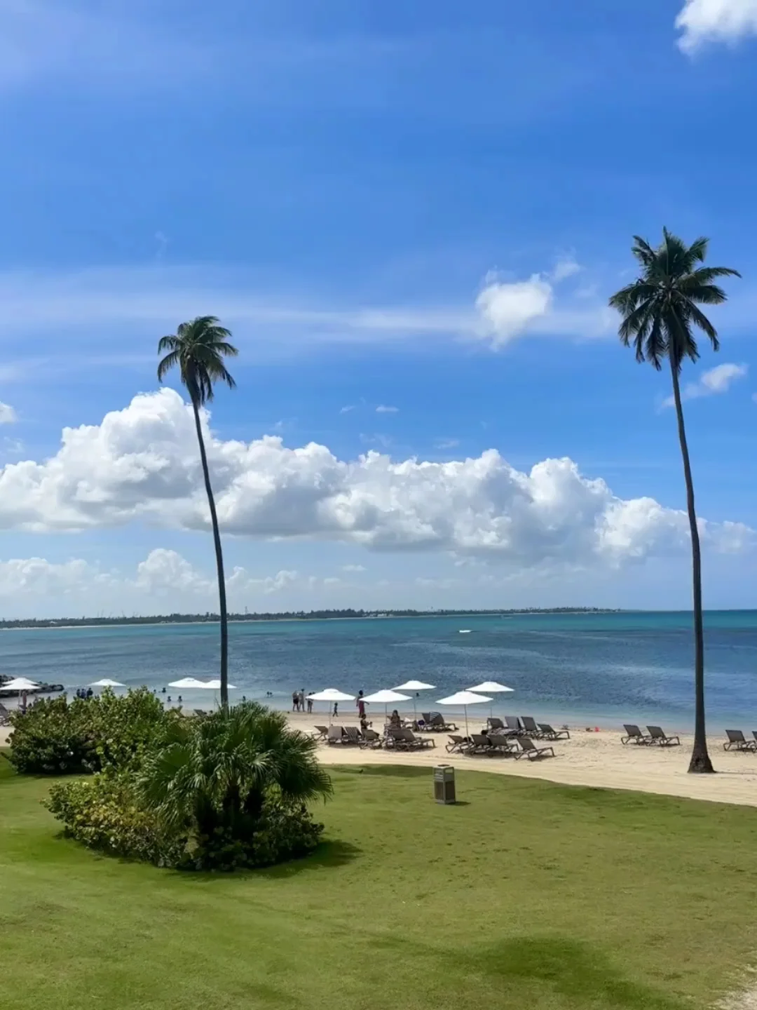 The Current Situation in Puerto Rico! 😭😭 Hotels Slash Prices by 48%!