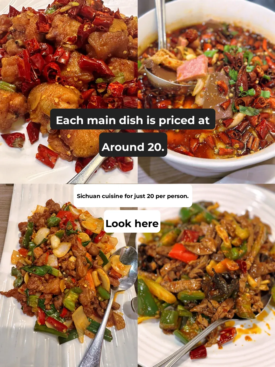 Chongqing Laojia Spicy Kitchen in the Bay Area: Authentic Sichuan Cuisine for Just $20 Per Person