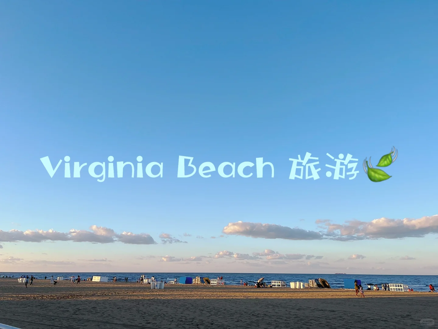 DMV Area｜Summer Escape 🏖️ Virginia Beach 🏊‍♀️