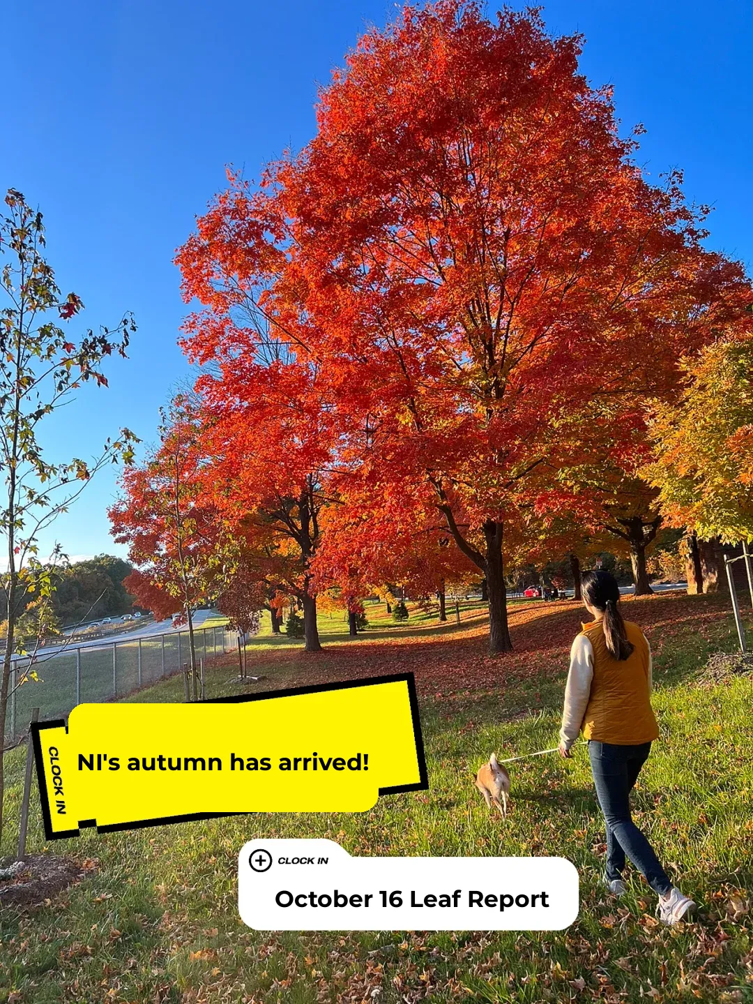 NJ Fall Foliage Adventure | Hidden Gem: High Point State Park