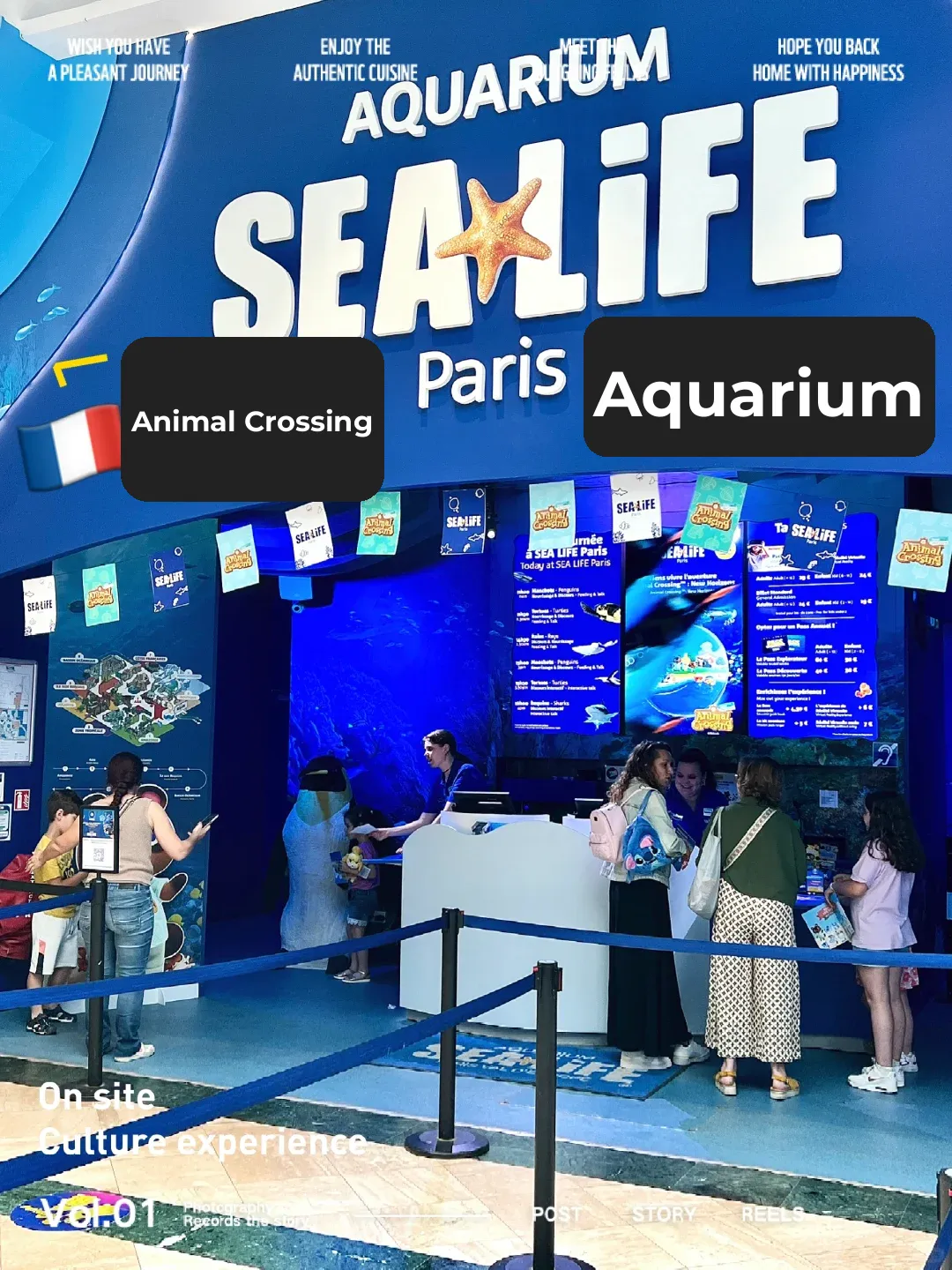 🇫🇷 Paris SEA LIFE Aquarium & Animal Crossing Limited-Time Collaboration - Hurry Up!