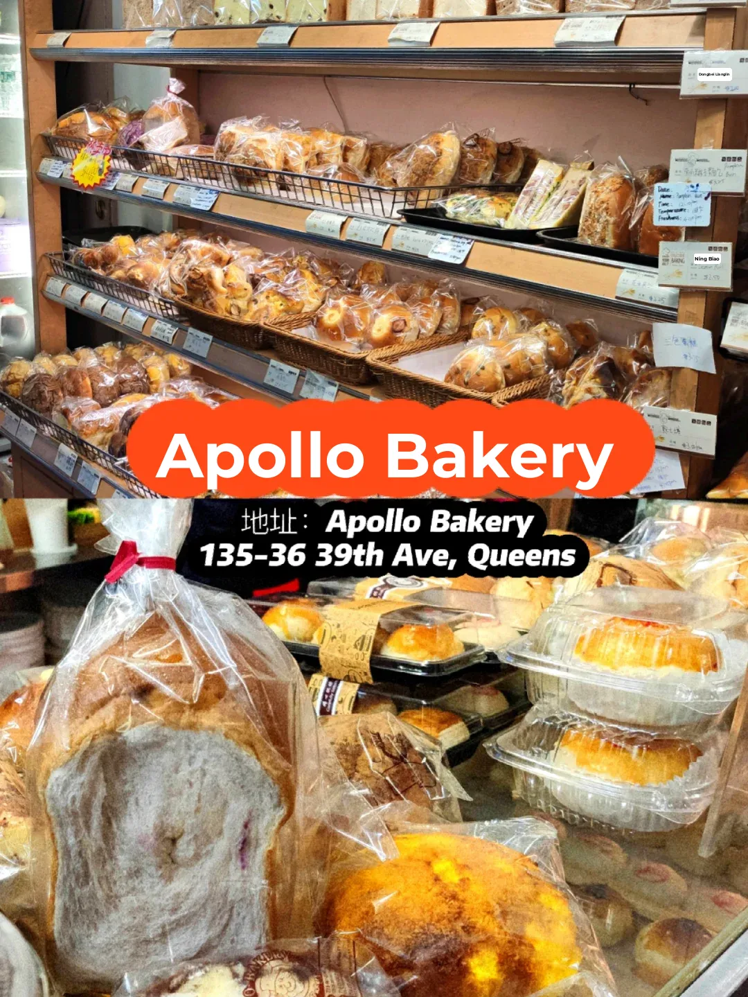 🎄 8 Must-Try Chinese Eateries + KTV + Coastal Park Review in Flushing, NYC!