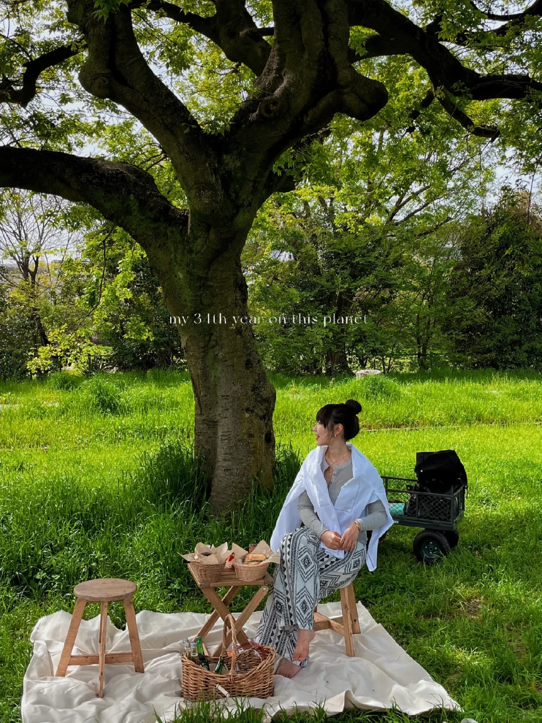 Osaka Castle Spot 📍 Cozy Café with Picnic Vibes, Looks Good & Tastes Great!