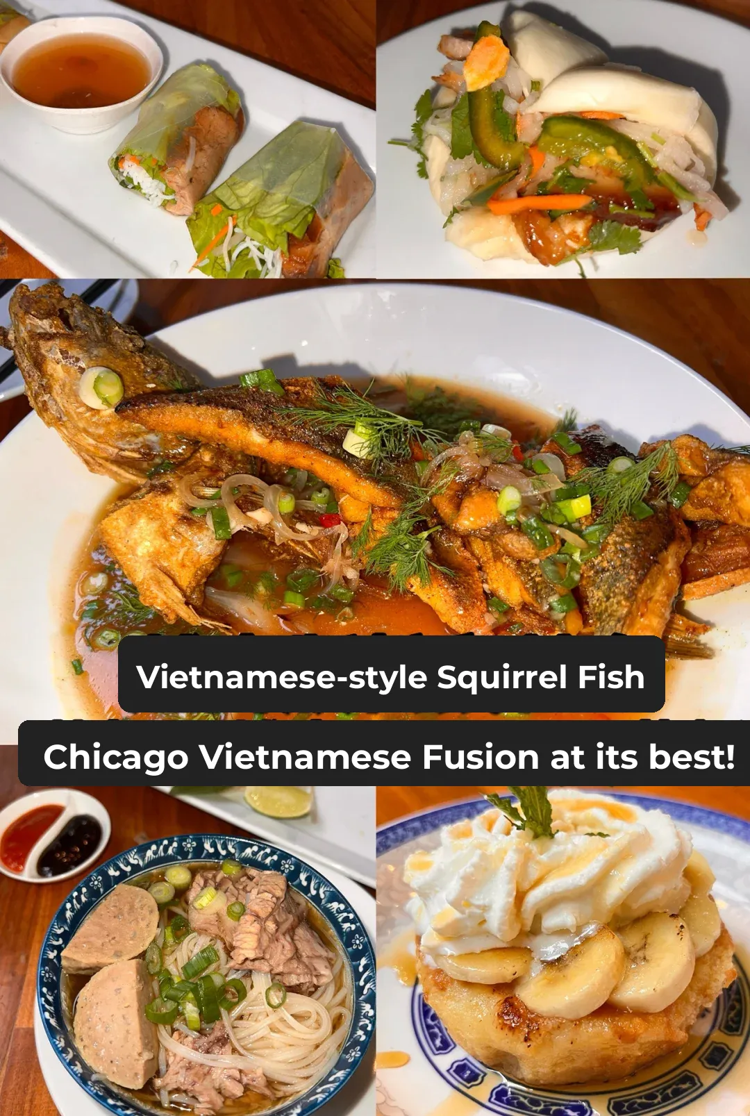 Top-Rated Vietnamese Cuisine in Chicago: Saigon Sisters