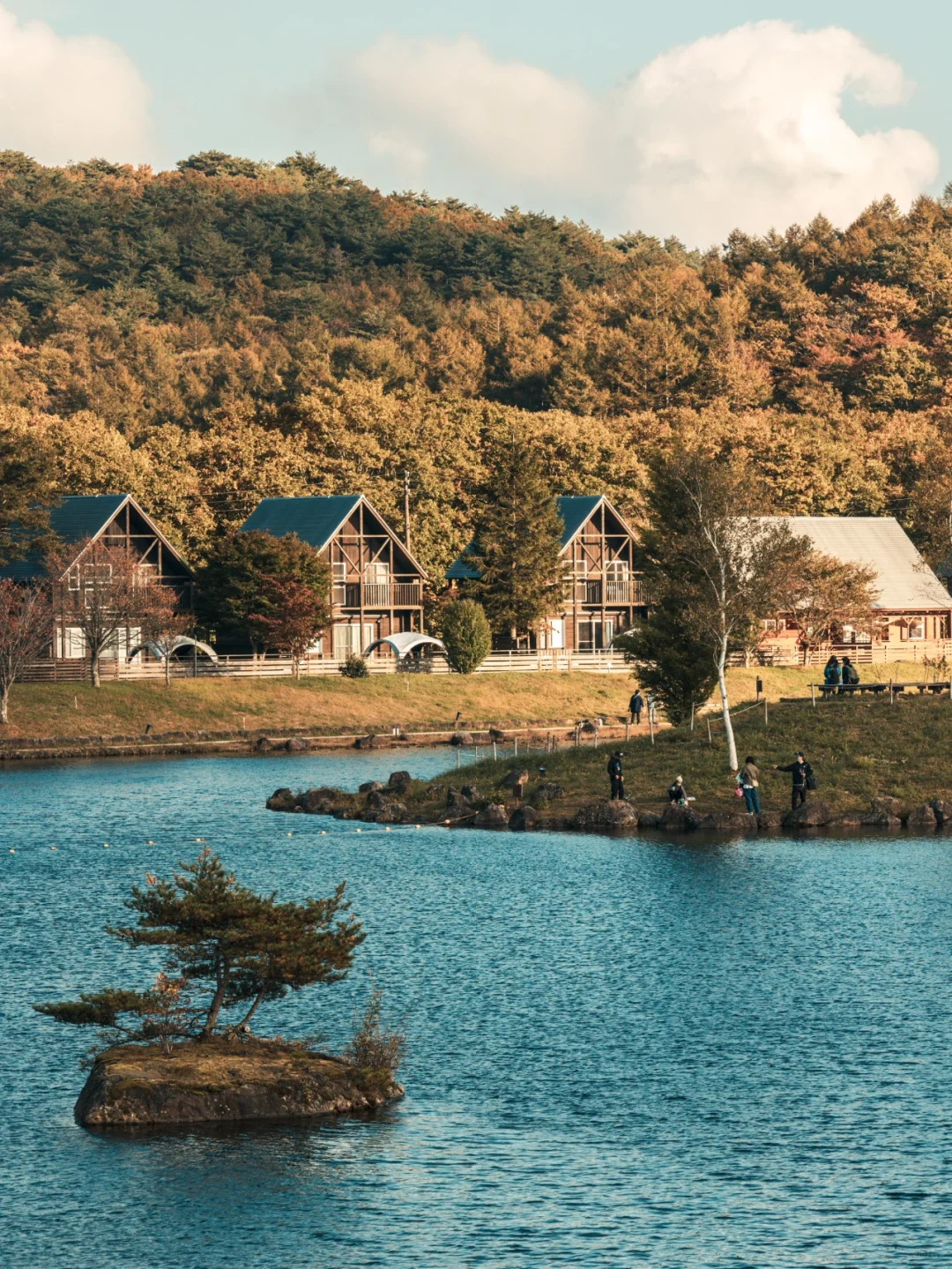 Tokyo Area Must-Visit: Angel Forest Nasu Shirahama