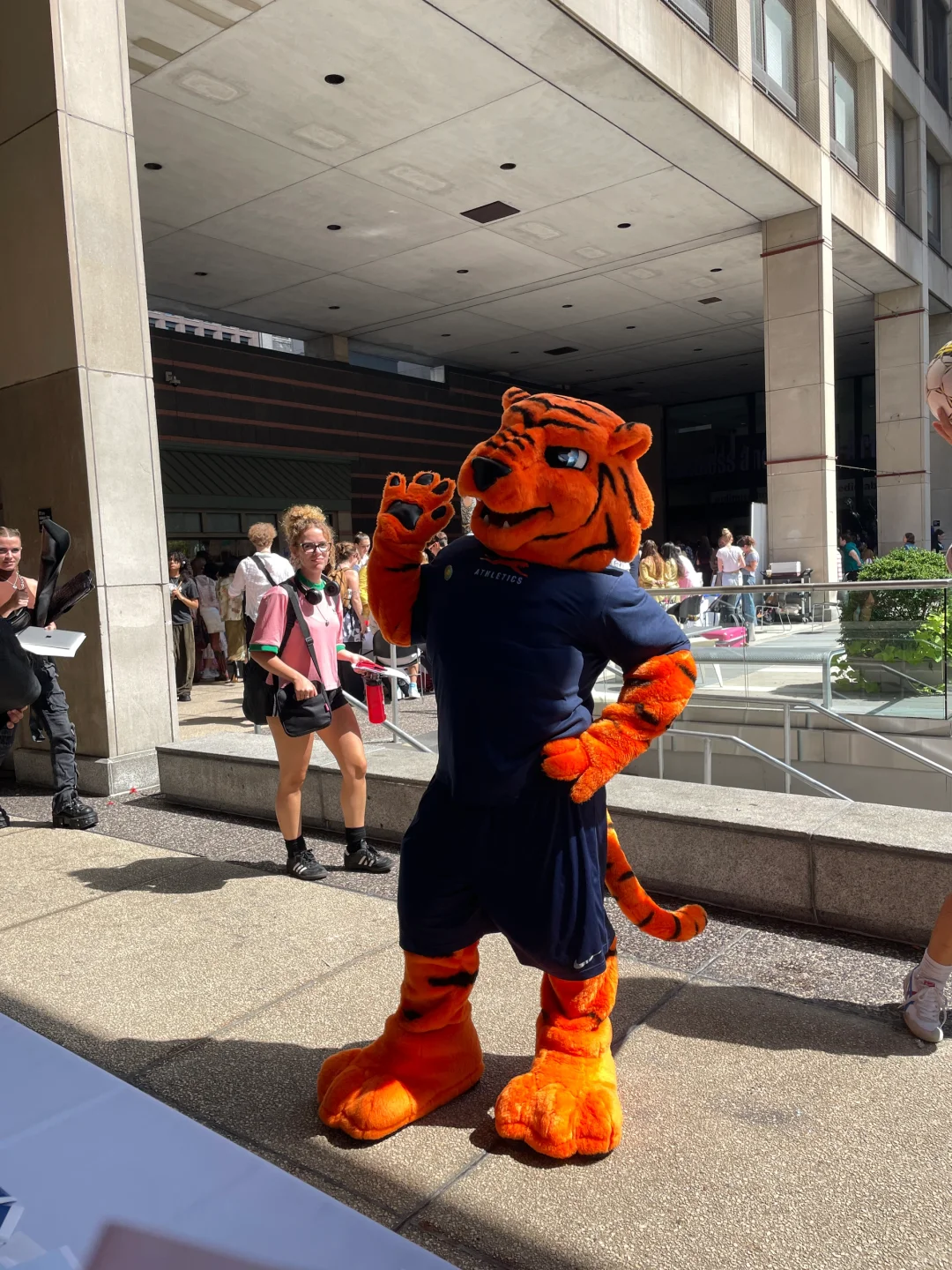 The official FIT Chinese Student Association is here! 📢