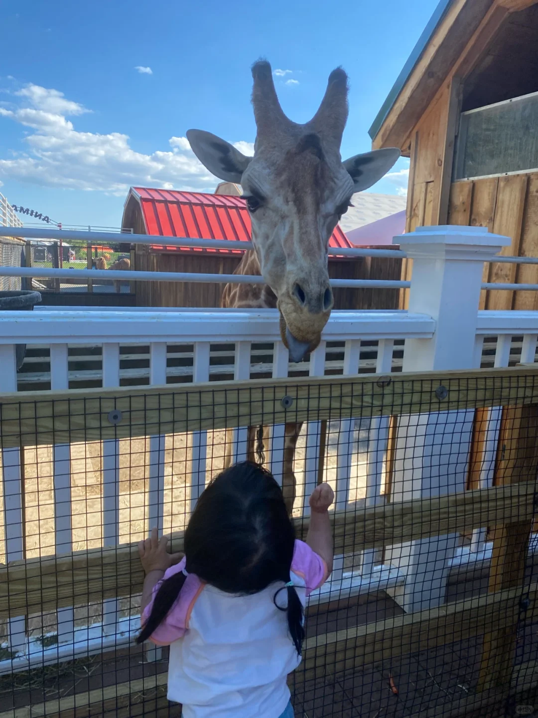 Family-Friendly Hidden Gems in NYC