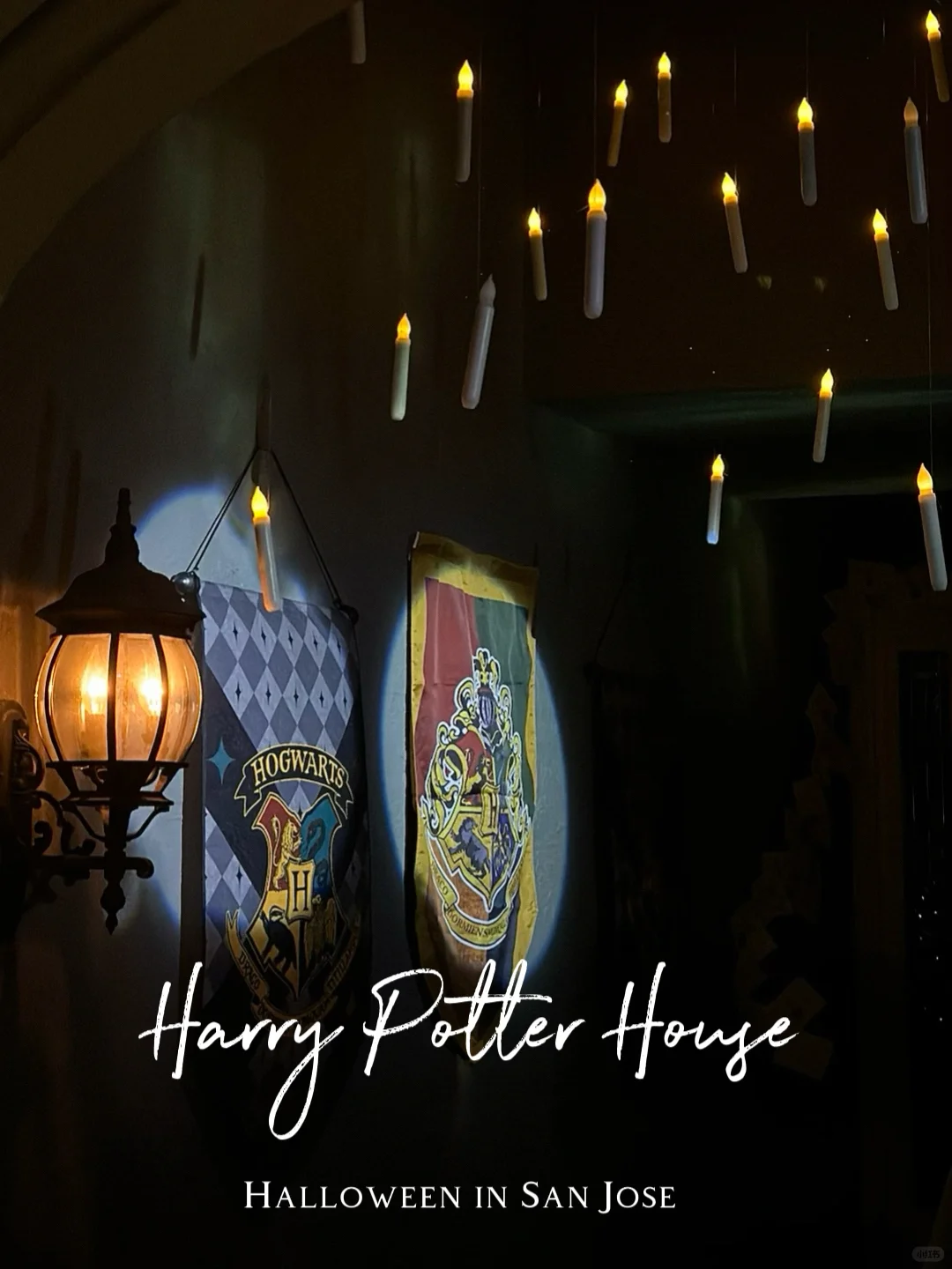 No Secrets for Muggles Here 🎃 A Must-Visit Haven for Bay Area Potterheads