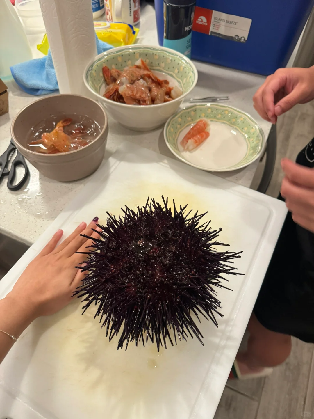 Half Moon Bay's Sea Urchin and Coral Shrimp Seafood Feast is Absolutely Unbeatable!