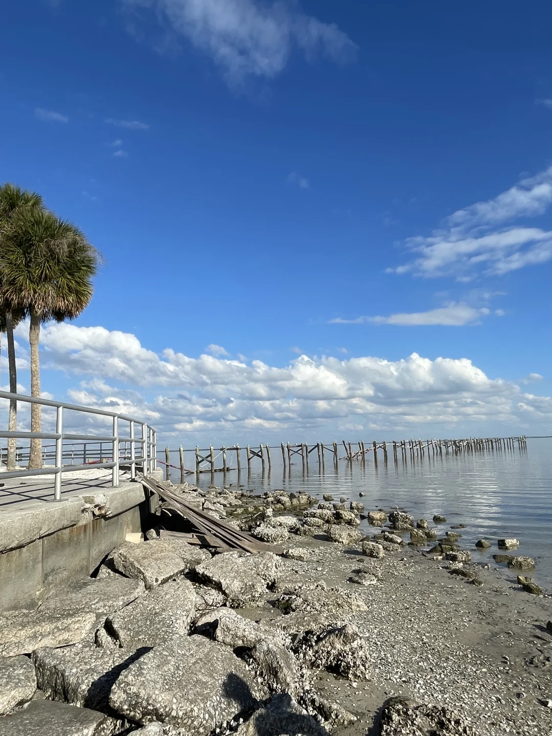 Car-Free Vacation in Tampa—Part 2