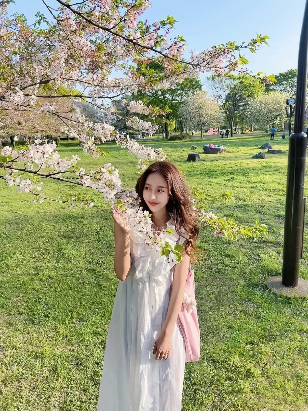 "Hidden Gem in Tokyo: A Lesser-Known Cherry Blossom Park to Enjoy with Your Pup, Away from the Crowds 🌸"