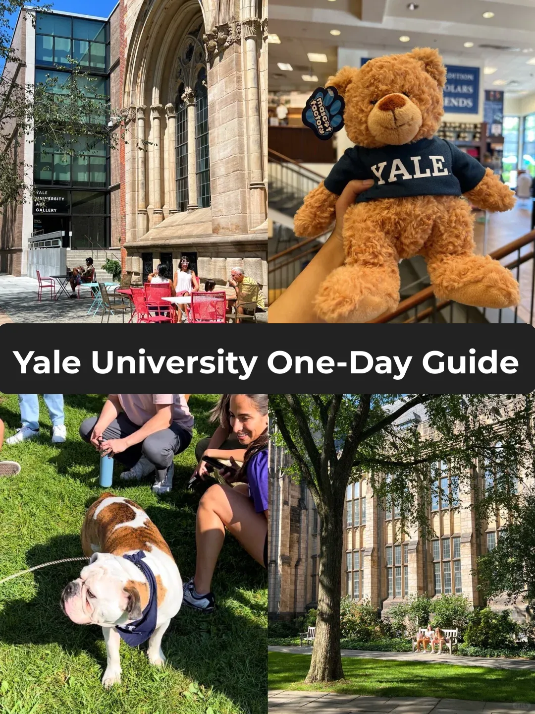 NYC Area | Just Go! Yale University Day Trip Guide