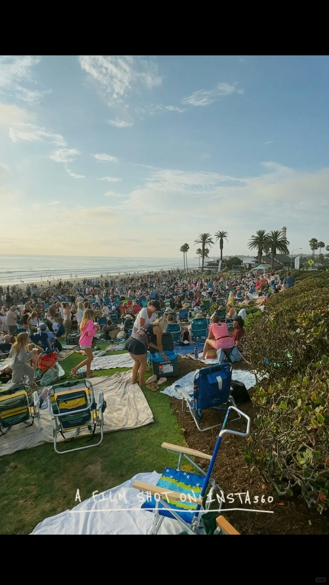 Seaside Music Festival: Strangers Jokingly Beg for BBQ, Pure Joy 😆