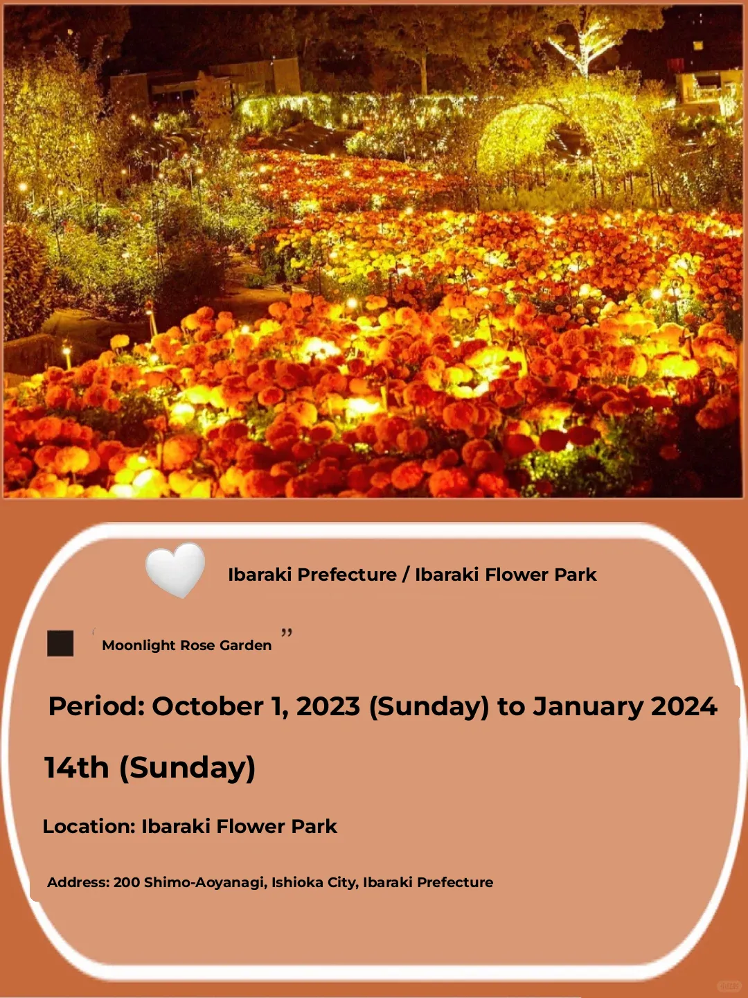 🇯🇵|Travel 2023🎅🏻Top Christmas Destinations