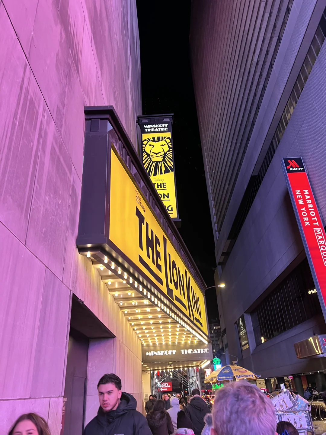 NYC Broadway | 🦁 The Lion King