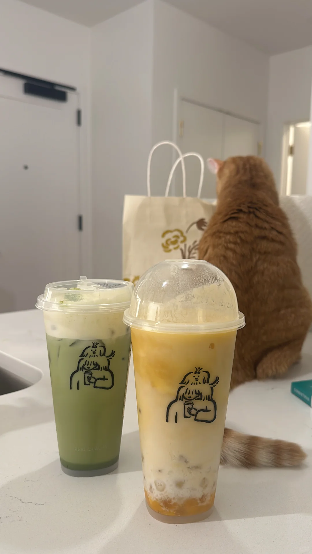 "Chilling with Tea in Boston"