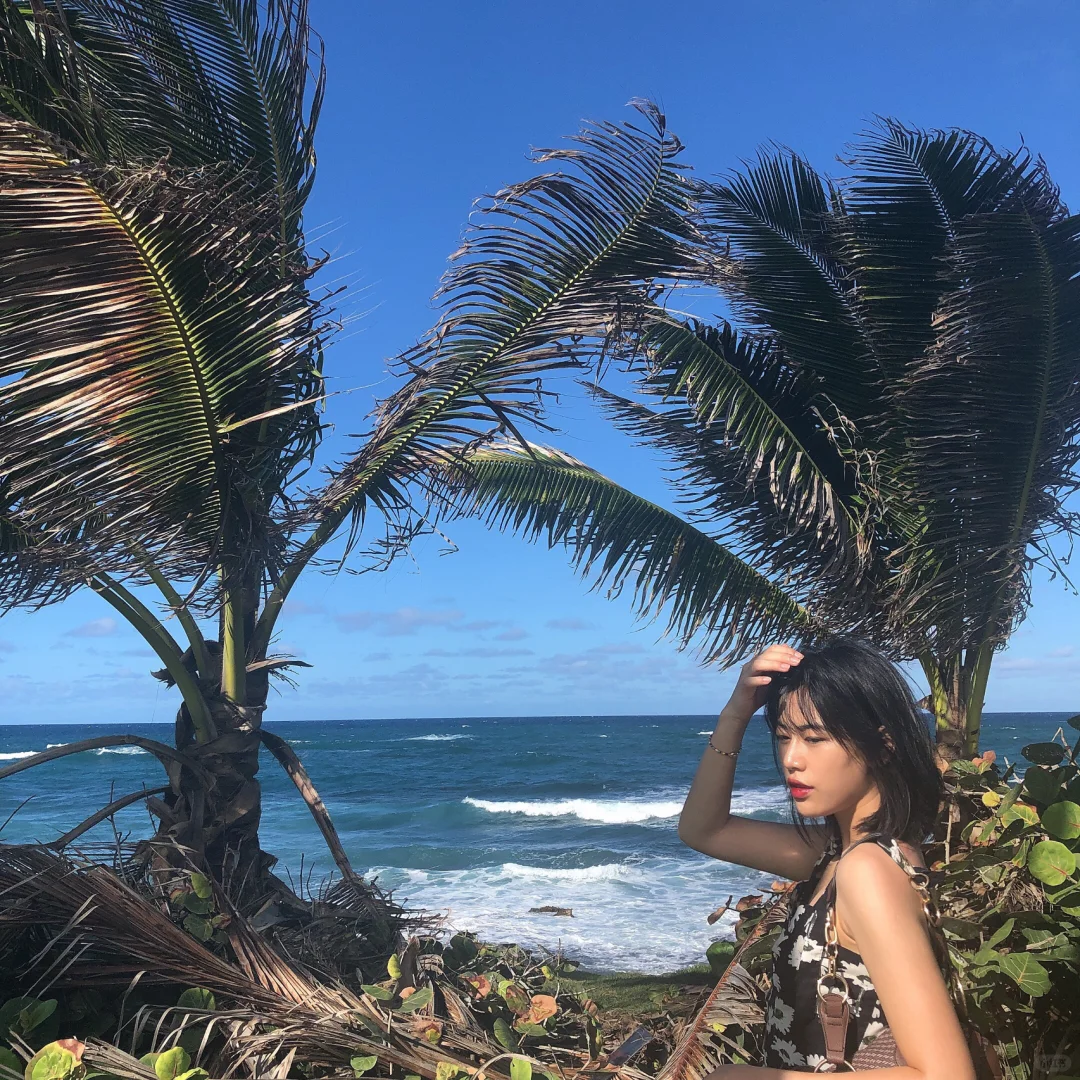 Puerto Rico | Art Museum, San Juan Beach