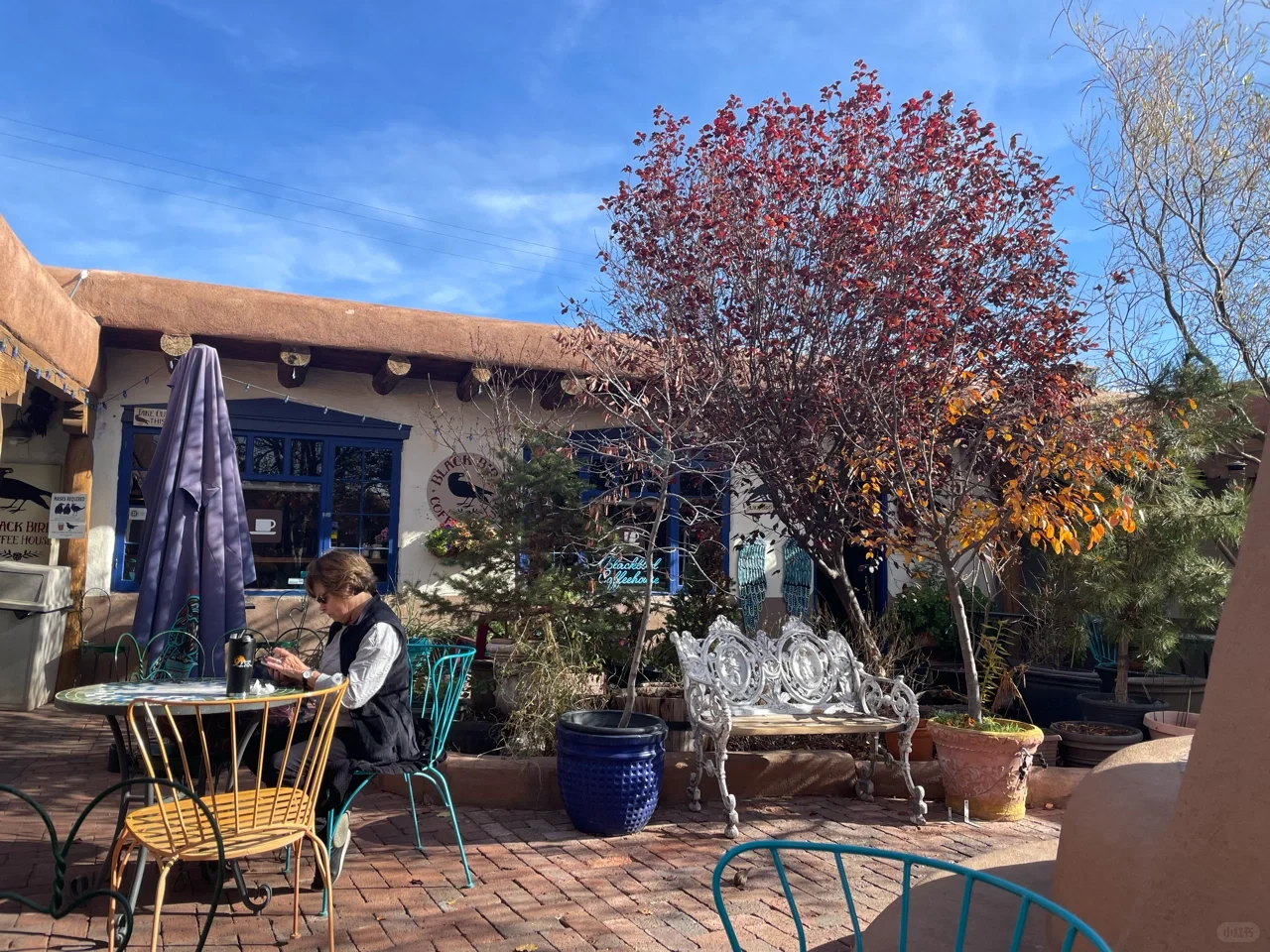 Shopping Guide: Must-Visit Spots in Albuquerque (ABQ) Old Town