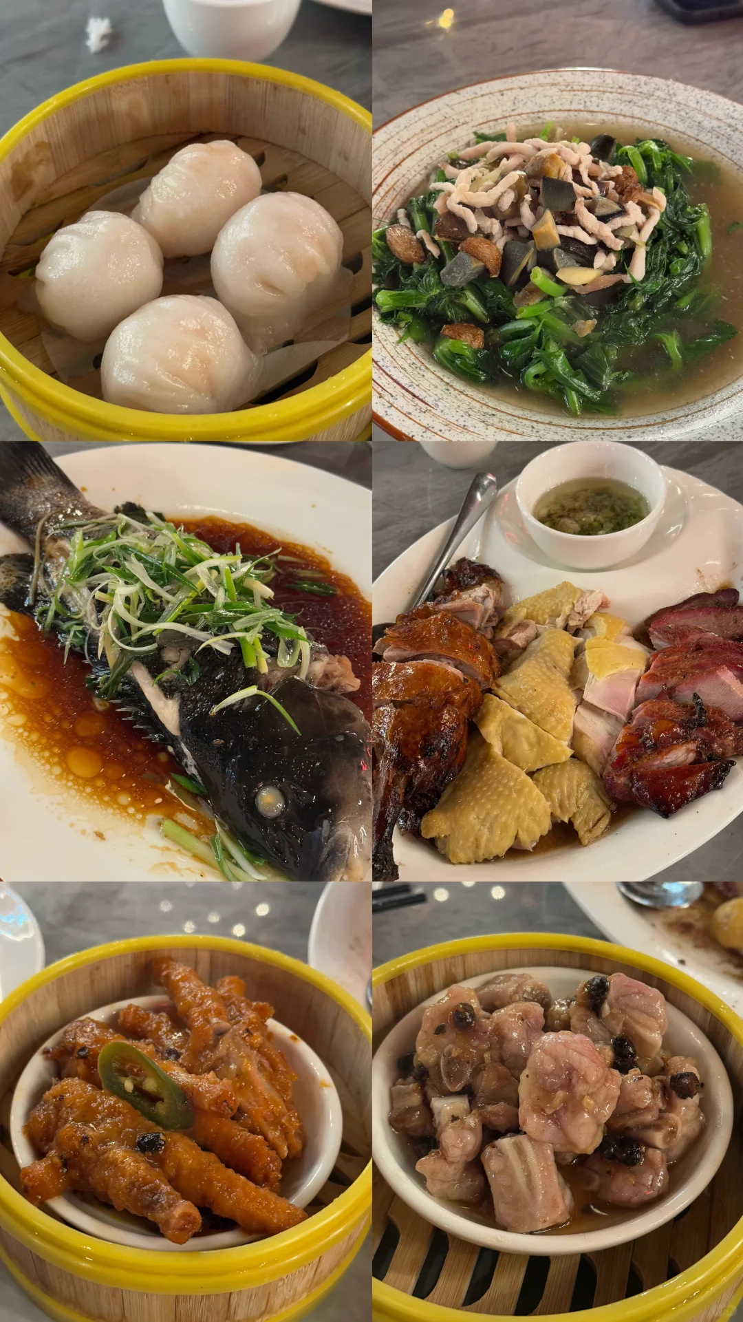 🇺🇸 Study Abroad | Minnesota Food Exploration | Jade Dynasty Cantonese Restaurant