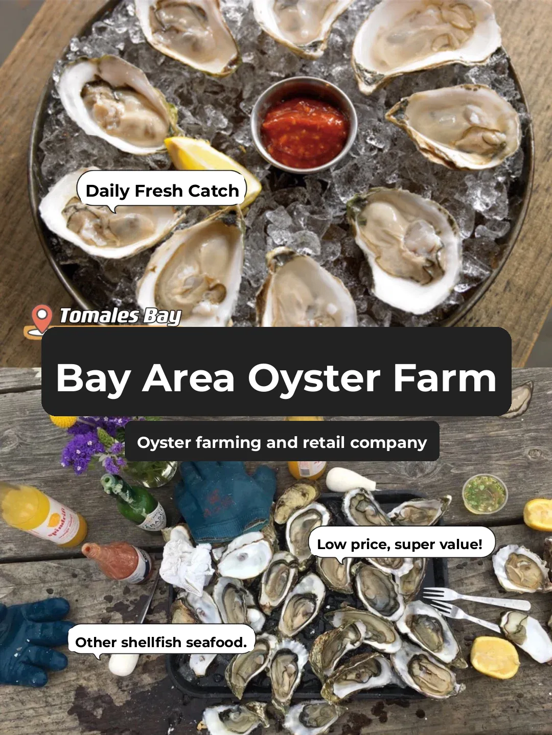 Oyster Season is Here! Ultimate Guide to Freshly Shucked Oysters at Bay Area Beaches