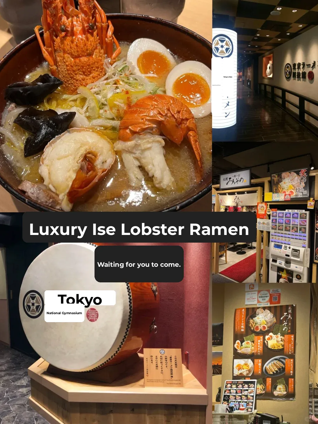 Must-Try Eats at Odaiba, Japan