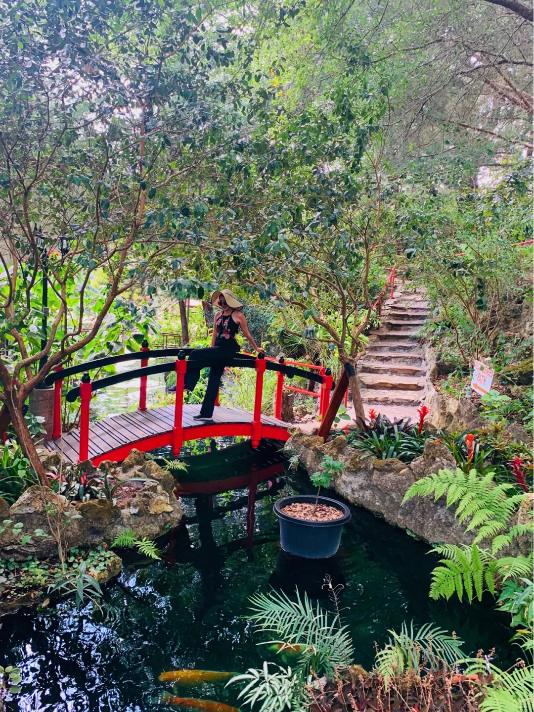 Pretending to Be in Japan⛩️ Nationwide Chain of Japanese Gardens | Japanese Garden