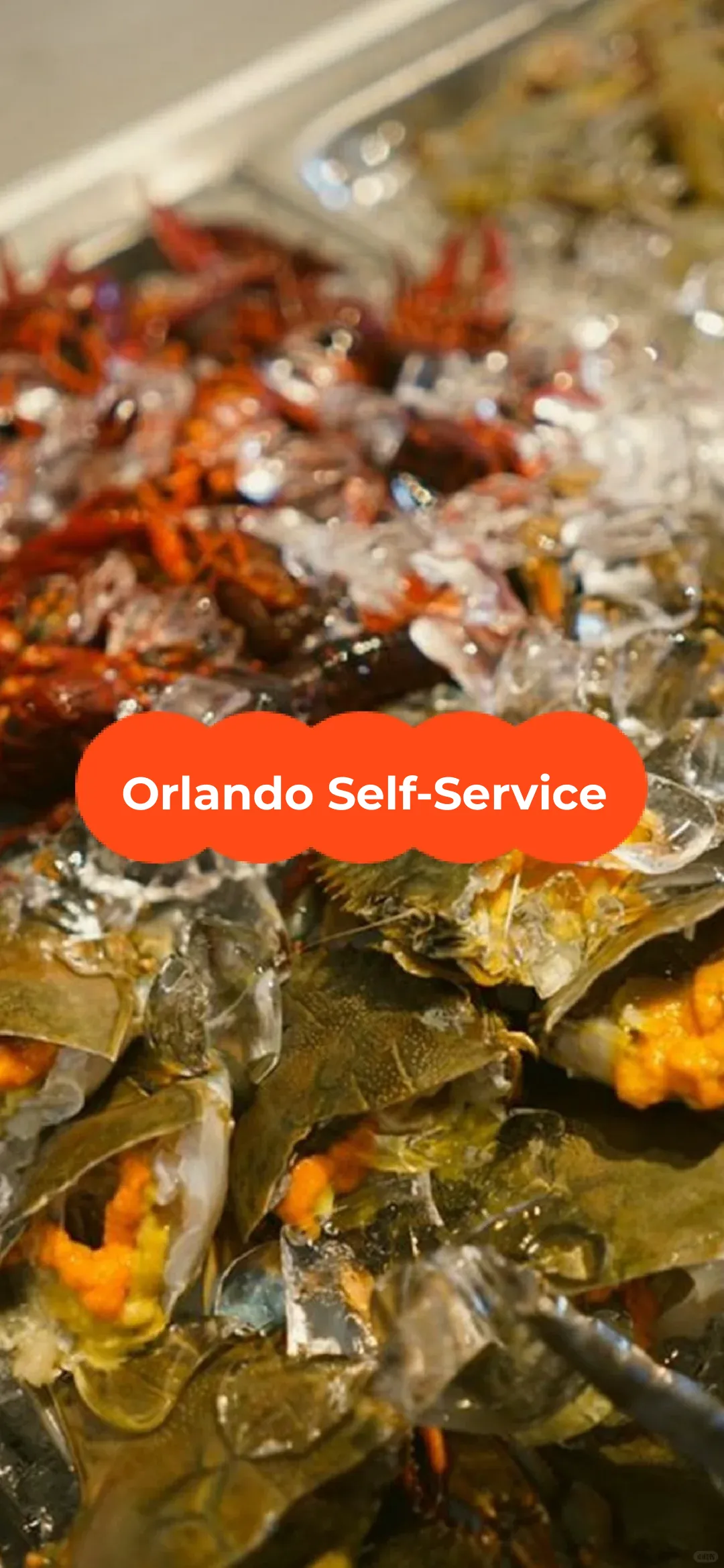 Recommended Hot Pot + BBQ Seafood Buffet in Orlando, USA