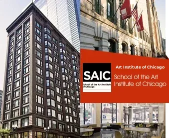 The Art Institute of Chicago - A Sacred Haven for Art