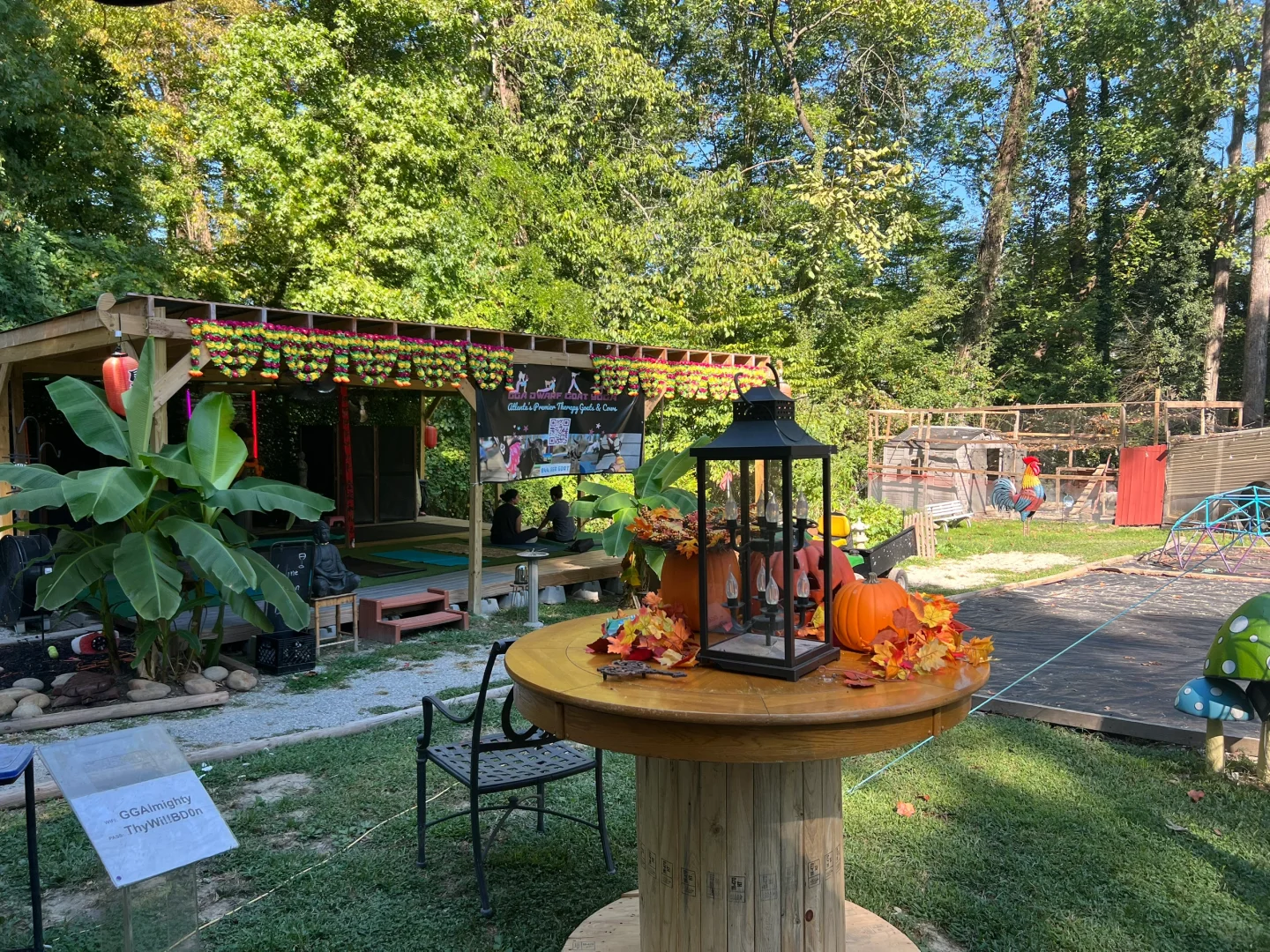 Weekend Farm Fun👯 Goat Yoga in Tucker, Atlanta