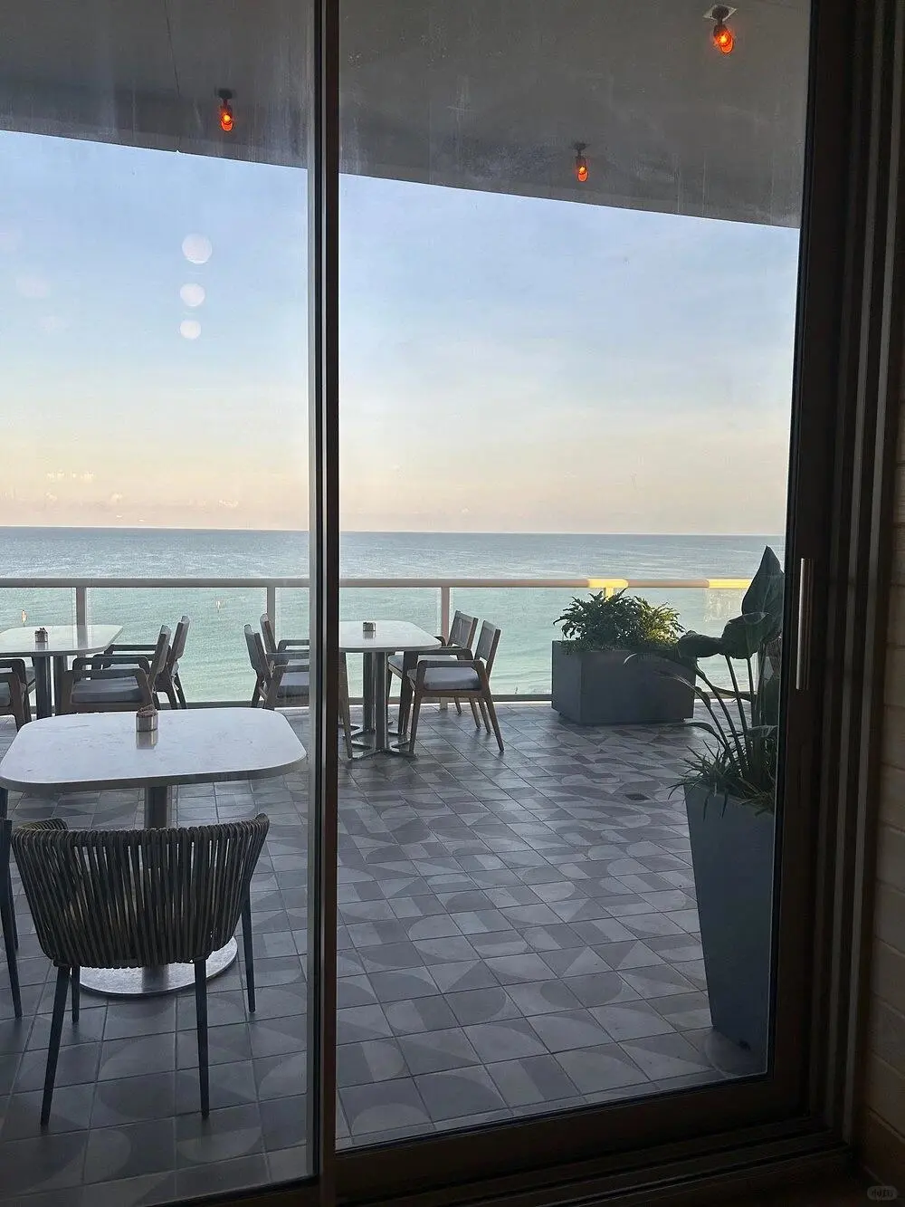 Hey, all you Christmas travelers heading to Tampa, check this out! 💕