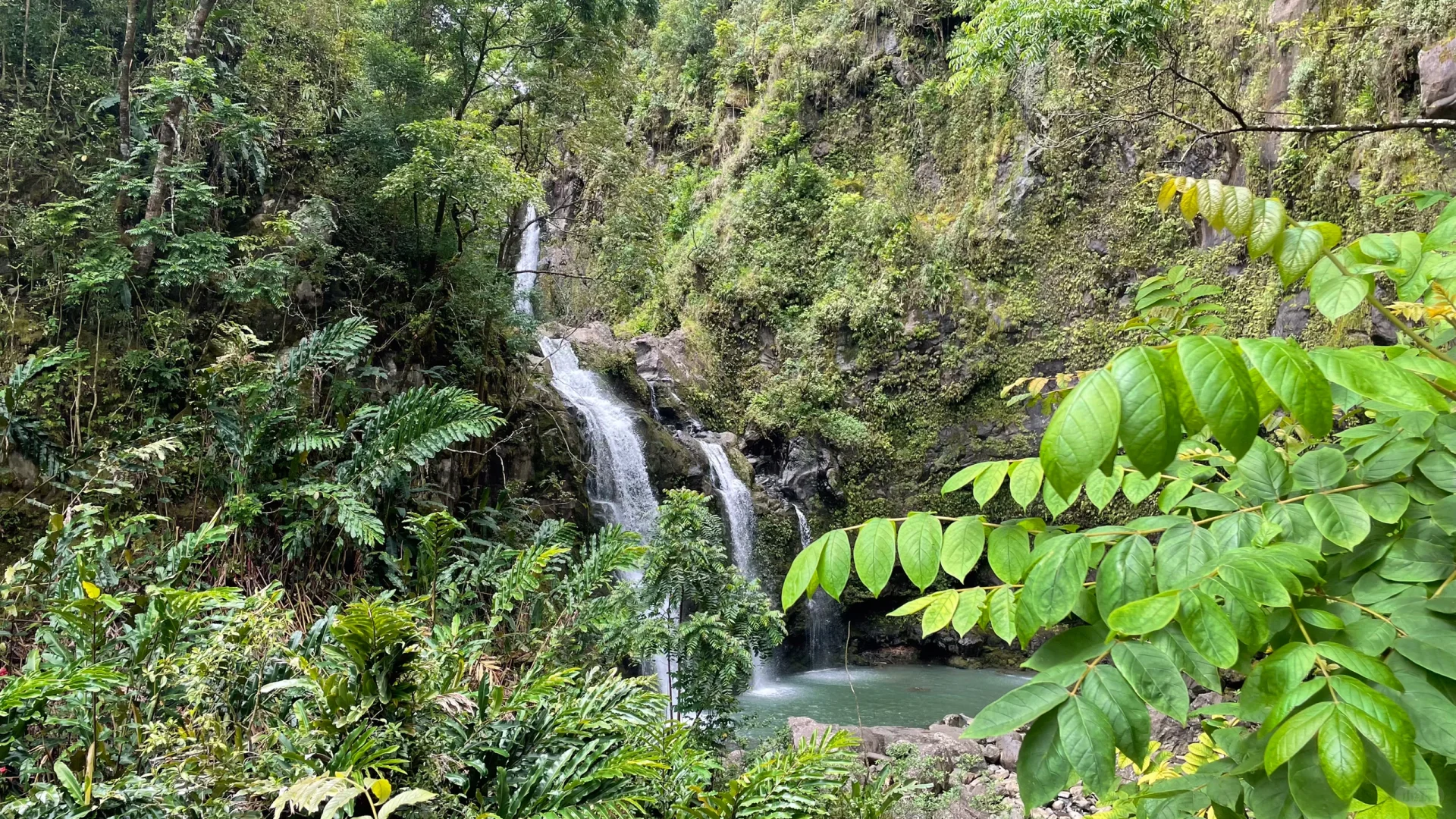 🌺 Maui | A Week of Mountain Adventures and Ocean Escapes on the "Valley Isle"