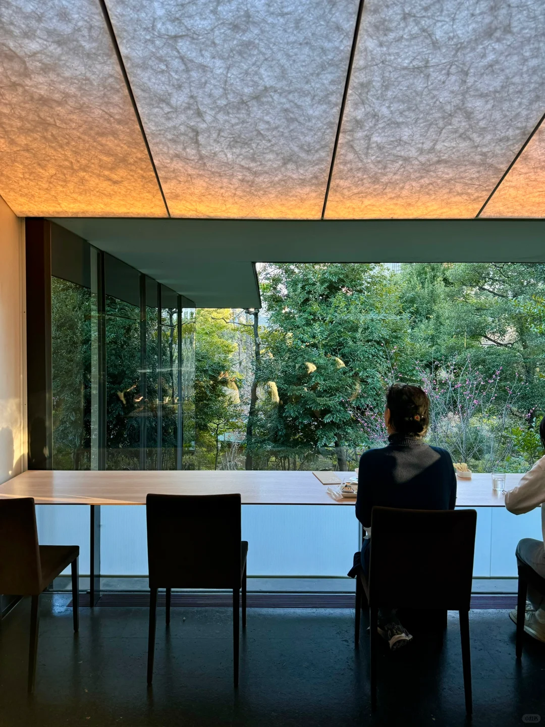 The Most Successful Follow-the-Crowd Moment on Xiaohongshu... (Tokyo Edition)