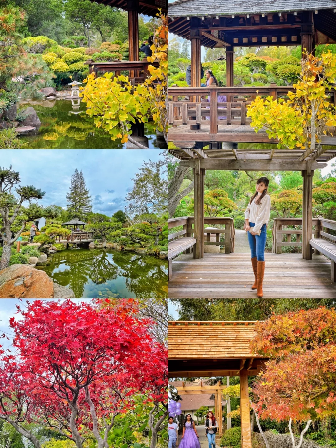 Bay Area Beauty | Free Japanese Garden in Hayward