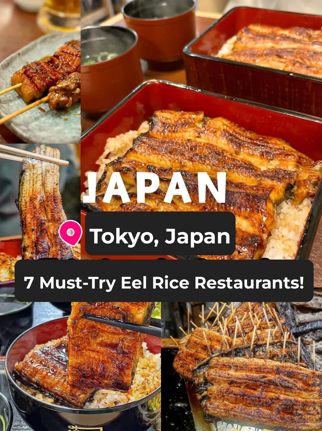 Tokyo Unagi Don: Where to Eat? Copy My Homework