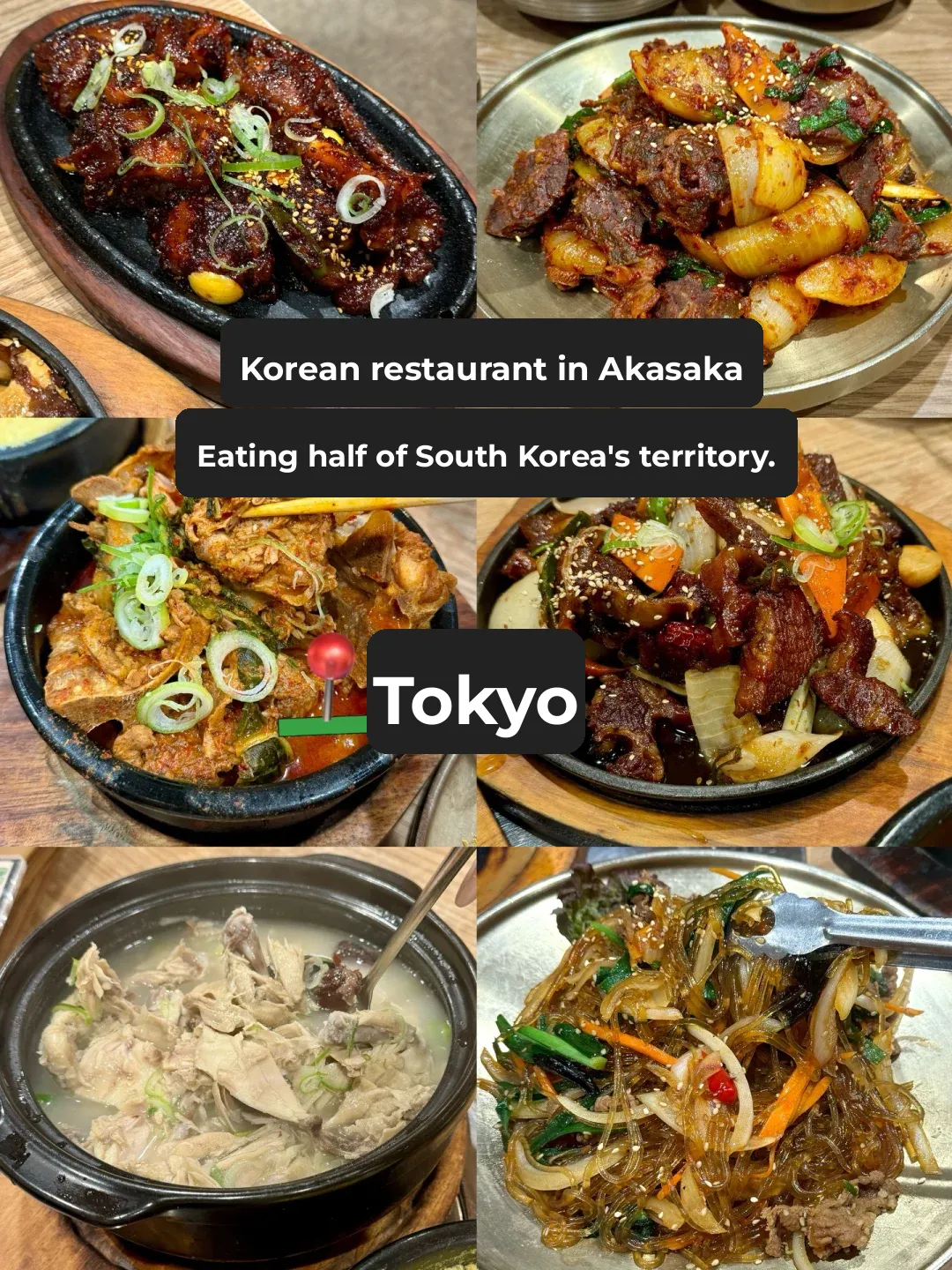 Tokyo | Devouring Half of Korea's Territory at a Korean Restaurant in Akasaka