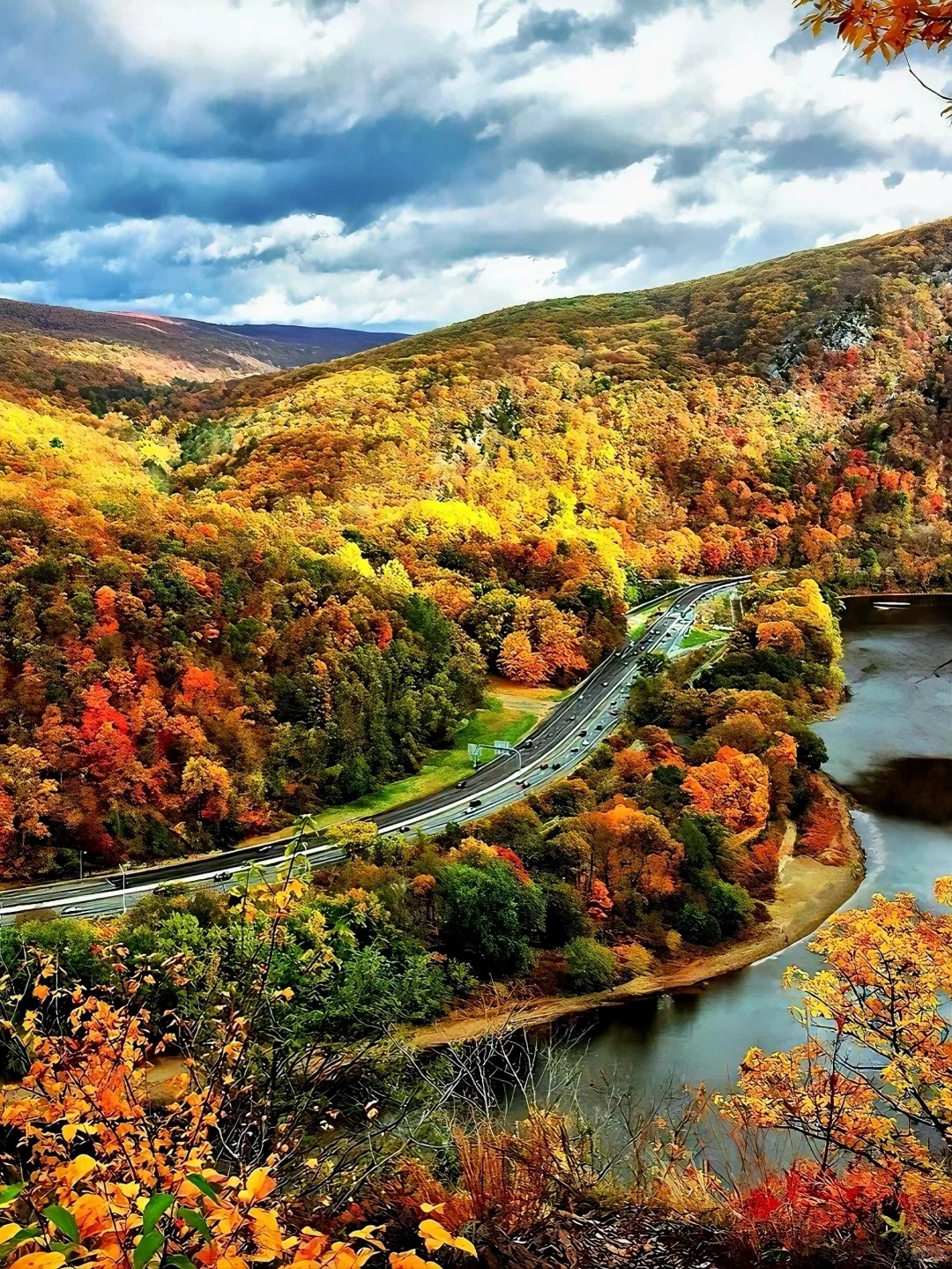 Autumn Foliage Guide for New Jersey by My J-Friend 🍁 So Detailed! 😍