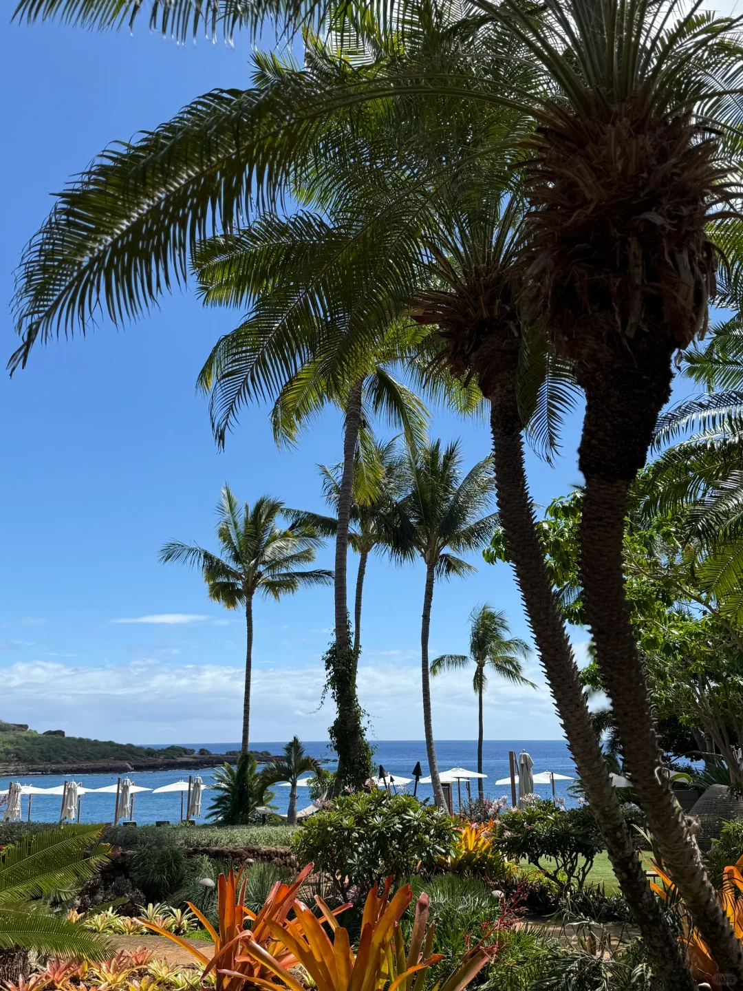 Hawaii | Eating and Drinking at Four Seasons Lanai Beach ✨