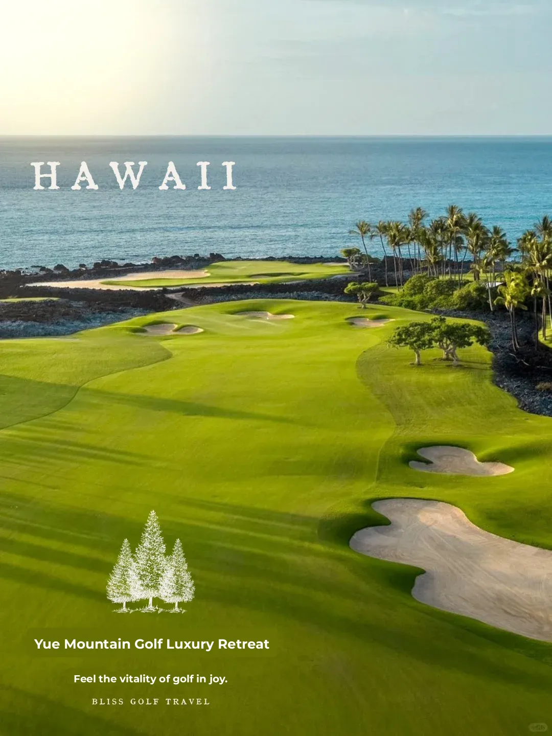 🏝️ Is Hawaii the Ultimate Golf Getaway? ✈️