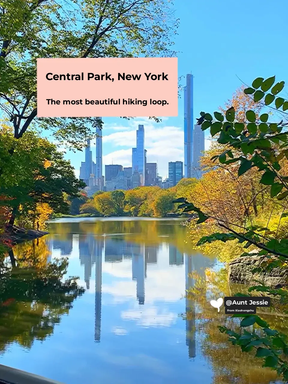 The Most Stunning Days of the Year in NYC's Central Park 🍁 Ultimate Fall Foliage Map