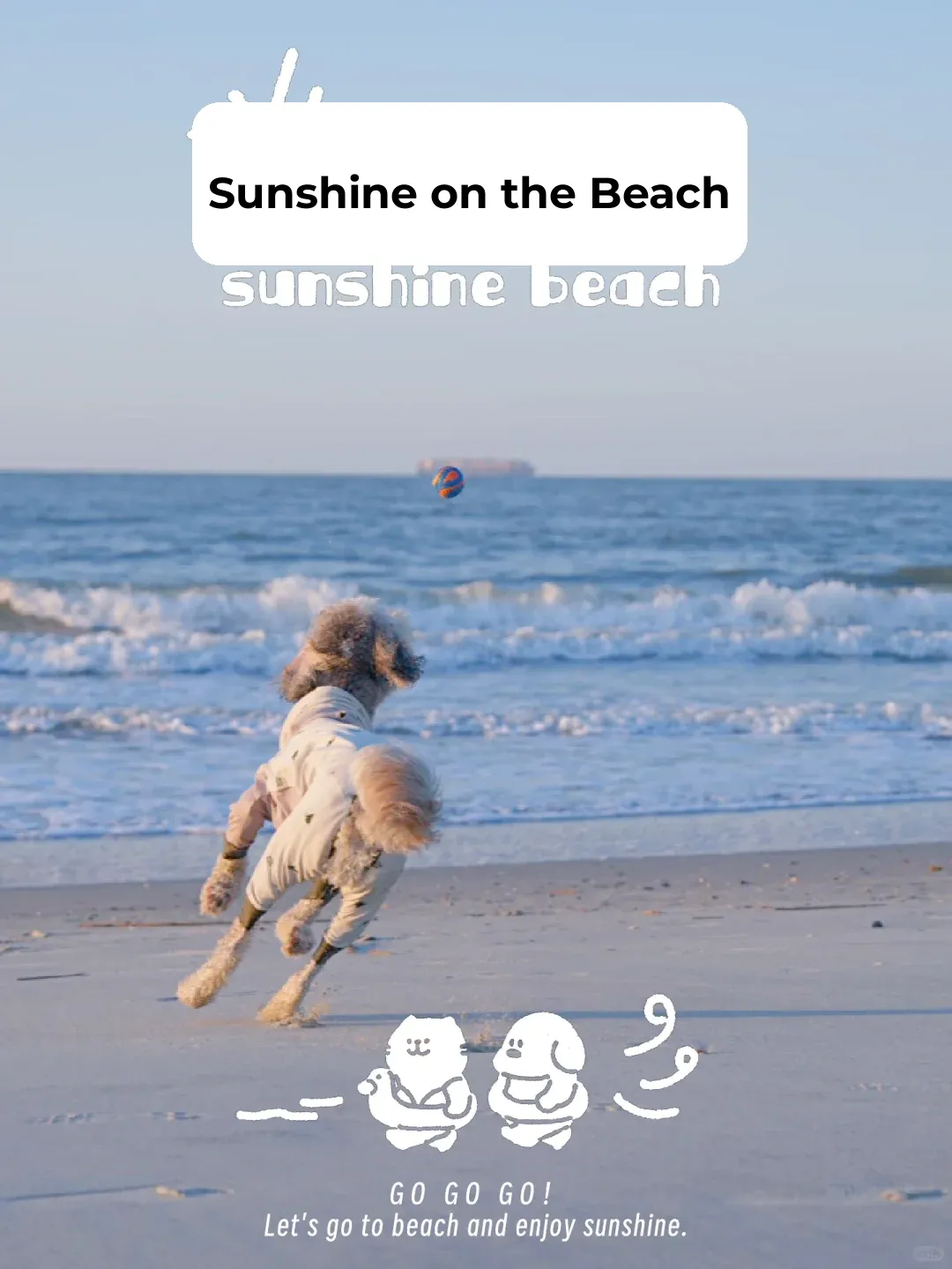 South Carolina - Charleston: A Dog-Friendly City