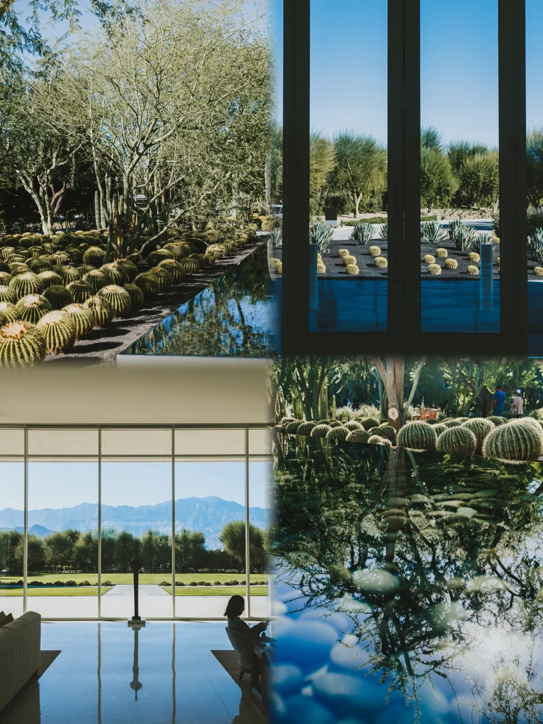 Palm Springs' Sunnylands🌴: The Epitome of Tropical Aesthetics in LA