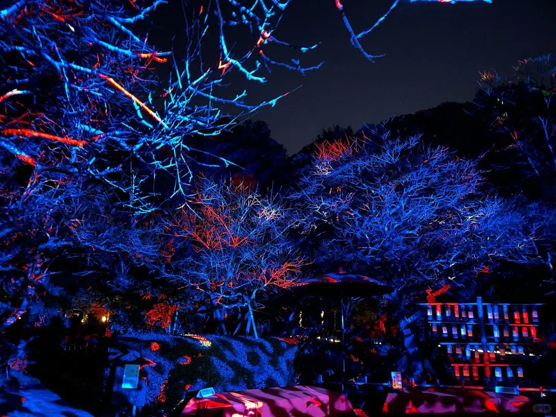 "Tokyo's Hidden Gem for Autumn Foliage: Keio Hachioji Botanical Garden's Maple Festival is Here!"