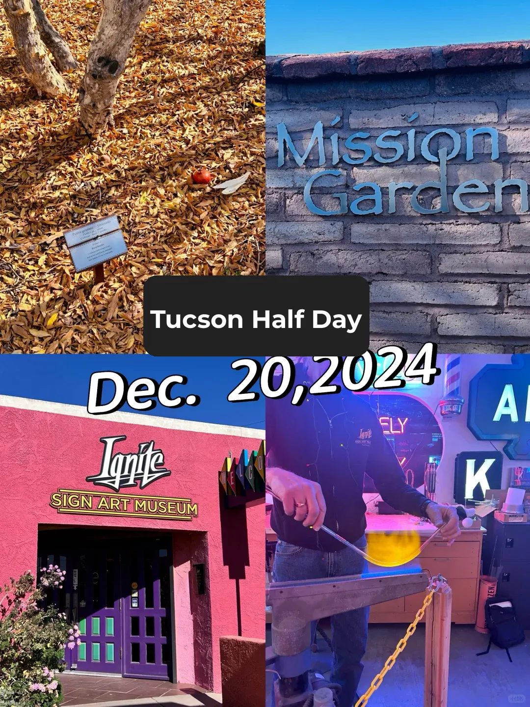 Winter in Tucson: Sunshine, Desert Mountains, Small Towns, and Neon Lights (Part 1)
