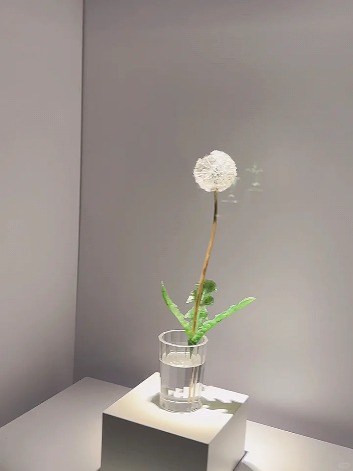 Houston Museum of Natural Science's Gem and Mineral Hall