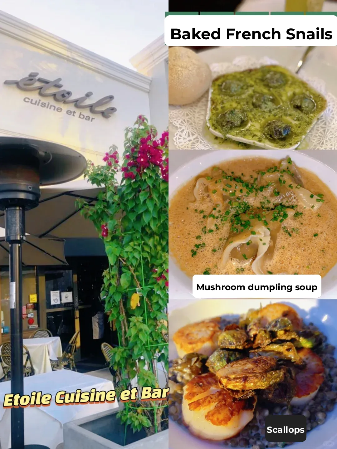 💓 Houston Qixi Date Night Dining Guide 🔥 Ultimate Restaurant Roundup