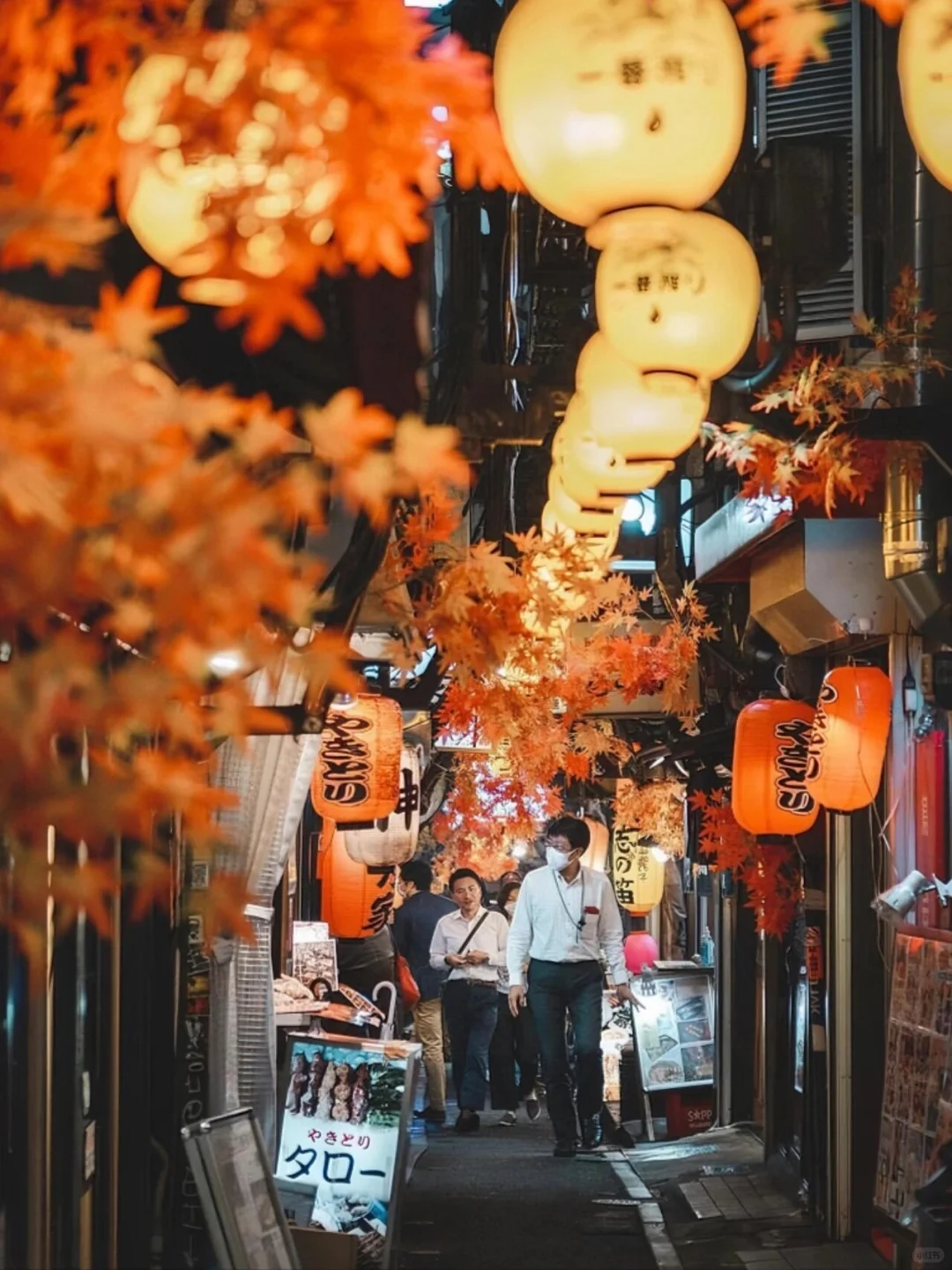 Tokyo City Walk: A Foodie's Ultimate Guide to 6 Must-Visit Gourmet Streets