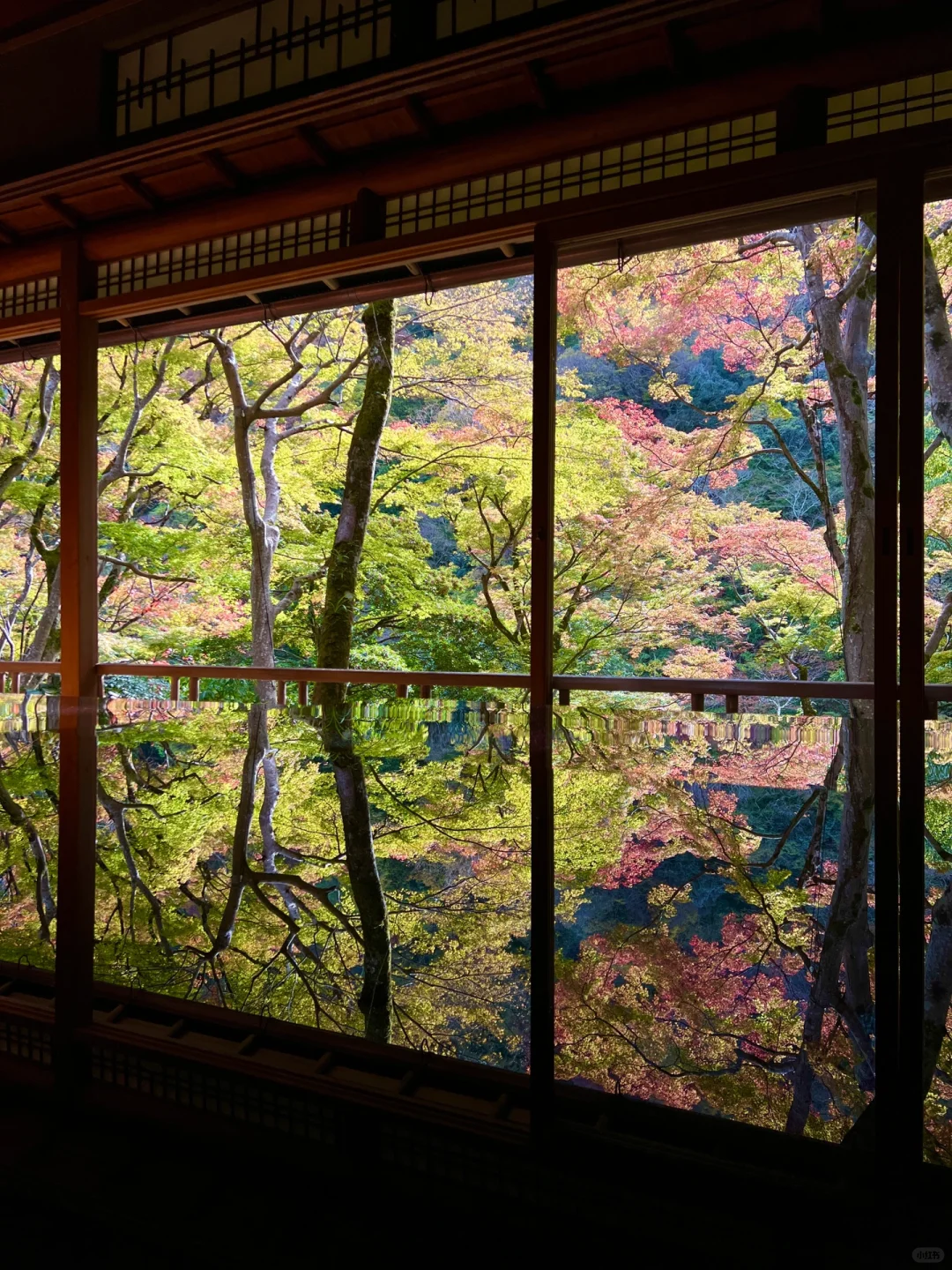 The Glass Light Temple is totally overrated 📮 Arashiyama's Garden takes the crown
